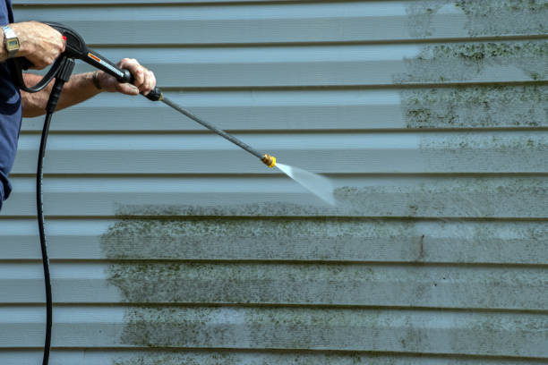 Best Sidewalk and Walkway Cleaning  in Panthersville, GA