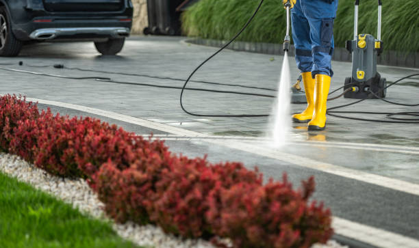 Best Roof Washing  in Panthersville, GA