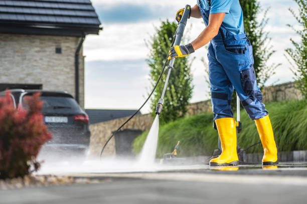 Best Animal Enclosure Cleaning  in Panthersville, GA